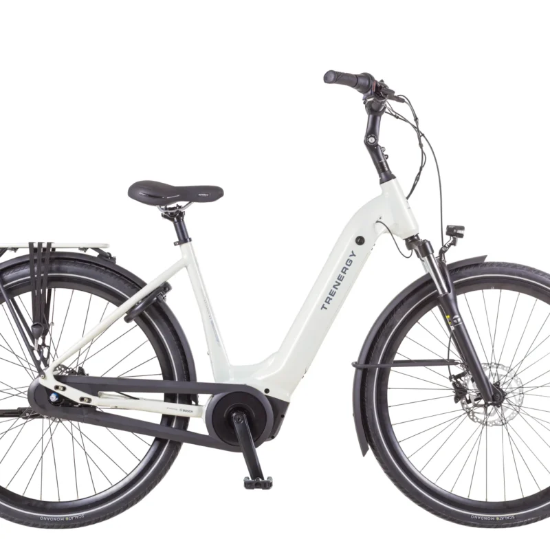 Bosch Active Line plus 50Nm Bosch 500Watt/uur batterij Krachtige hydraulische schijfremmen Shimano Nexus 8 versnellingen