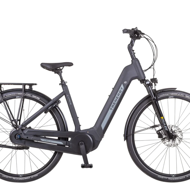 Bosch Active Line plus 50Nm Bosch 500Watt/uur batterij Krachtige hydraulische schijfremmen Shimano Nexus 8 versnellingen